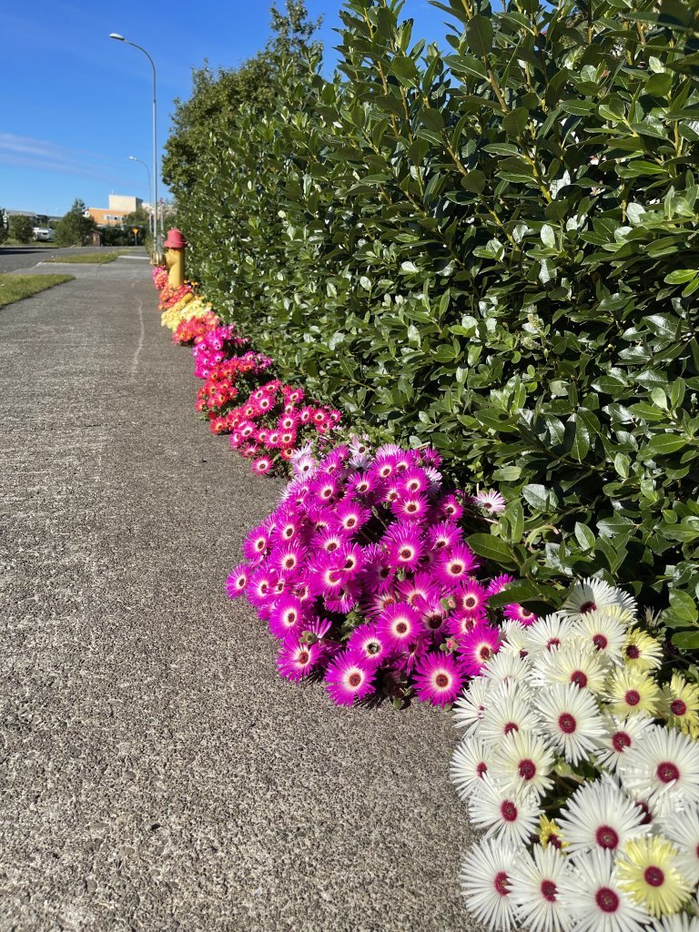 Aðalfundur Verslunarminjasafnsins á Hvammstanga 2026