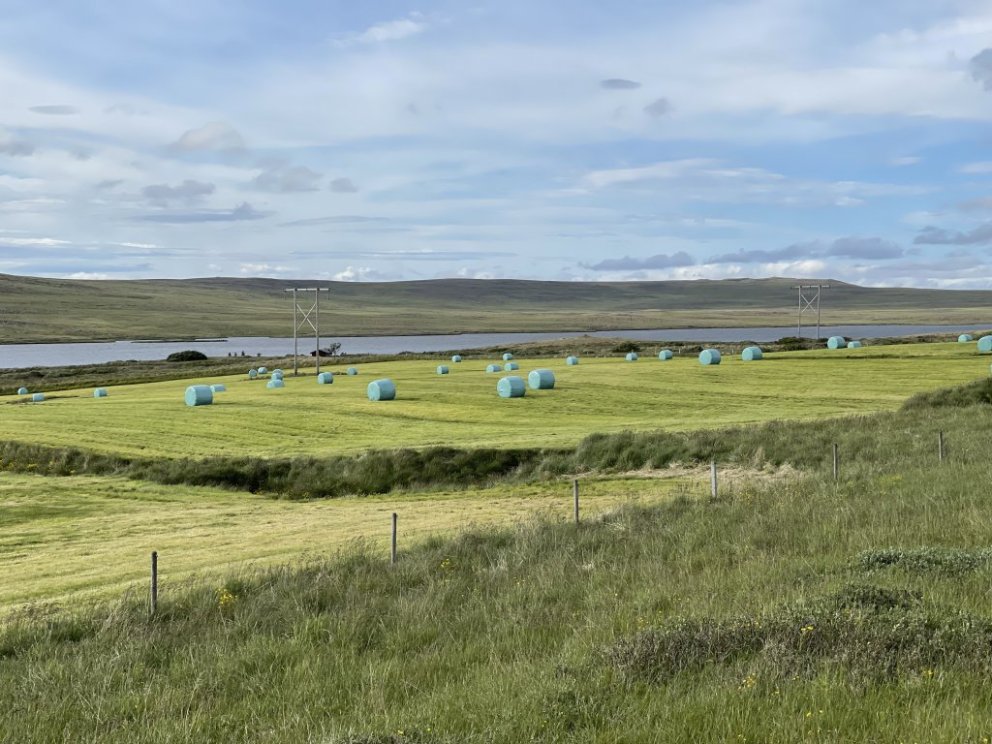 Línustæði, eignarréttur og endurgjald