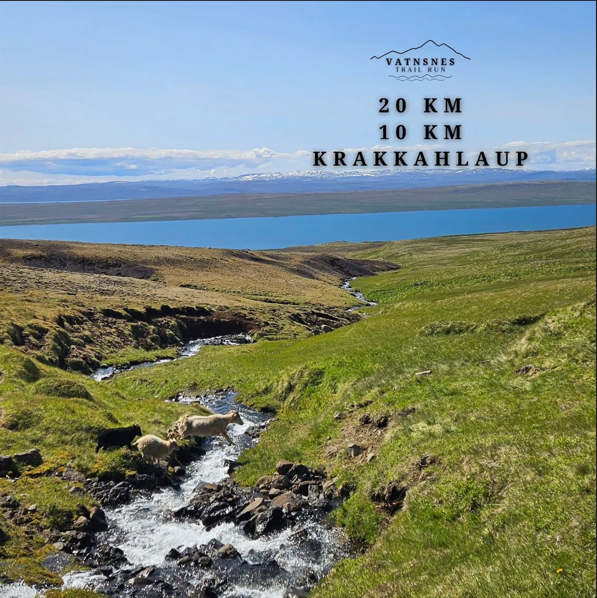 Vatnsnes Trail Run