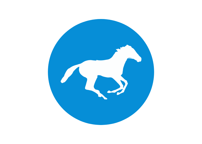 Uppskeruhátíð hestamannafélagsins Þyts og Hrossaræktarsamtaka v-Hún.