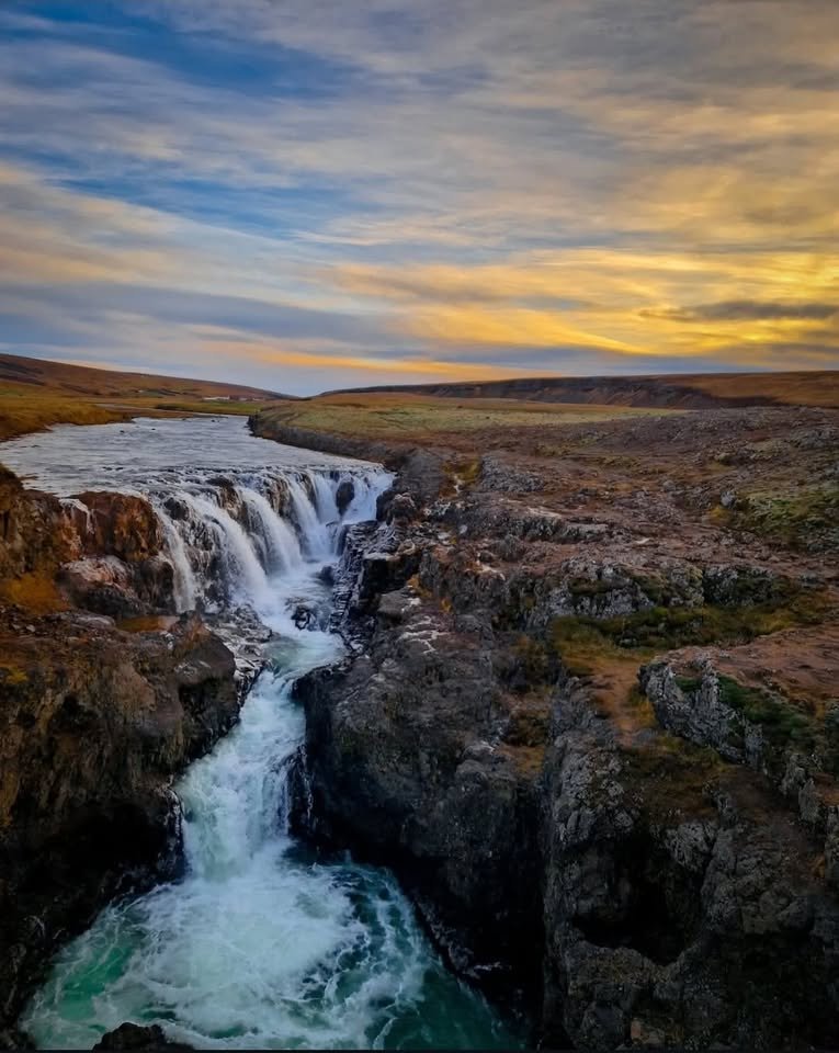 Þorrablót Víðihlíð 2026