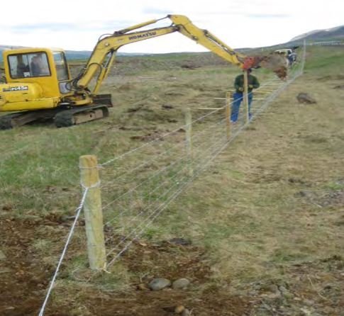 Viðhald girðinga meðfram vegum - tilkynna.