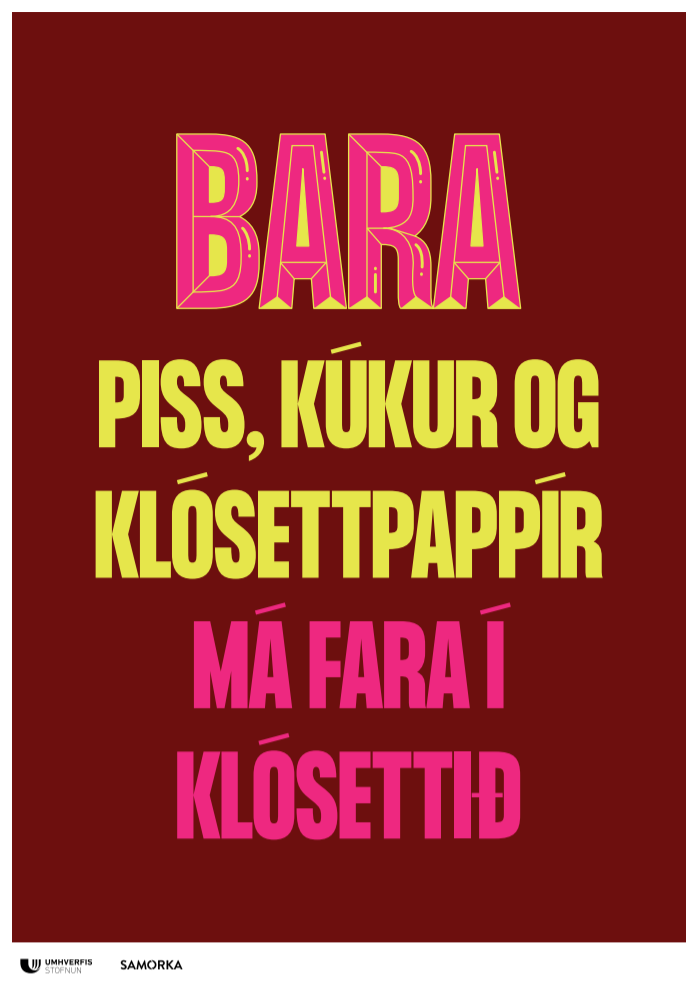 Alþjóðlegi klósettdagurinn