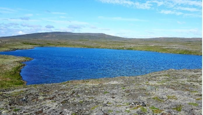 Vegir á Víðidalstungheiði