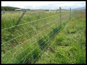 Viðhald girðinga meðfram vegum - tilkynna.