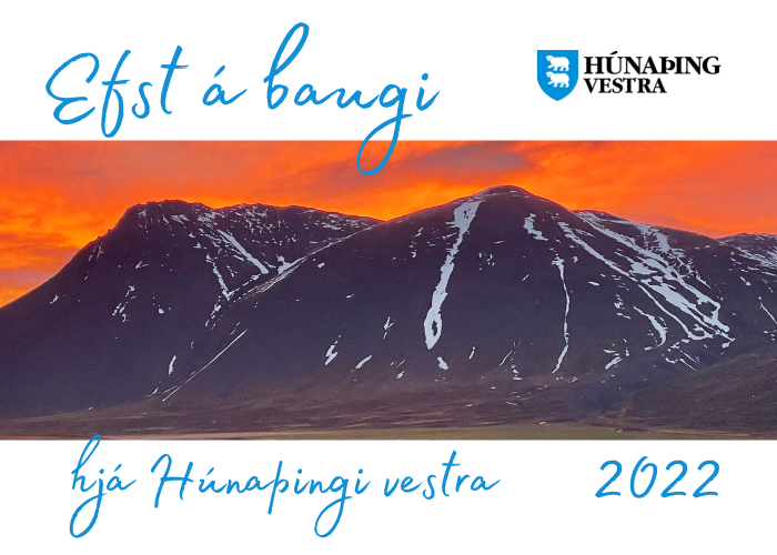 Hvað var að frétta árið 2022