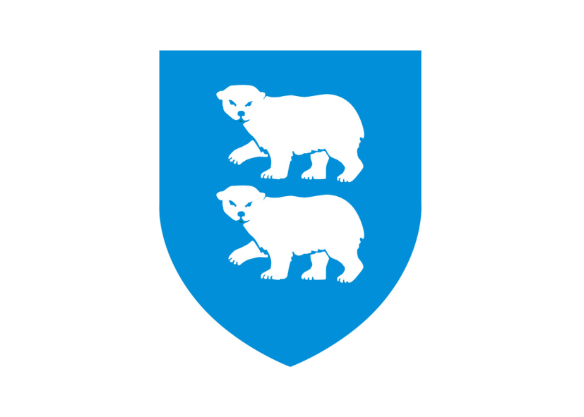 VEGNA FÖRGUNAR BIFREIÐA