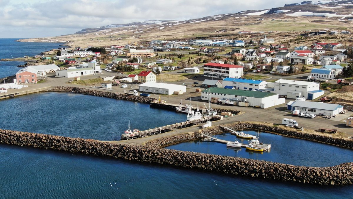 Lokaútkall vegna reikninga fyrir árið 2024 - frestur til 16. janúar 2025