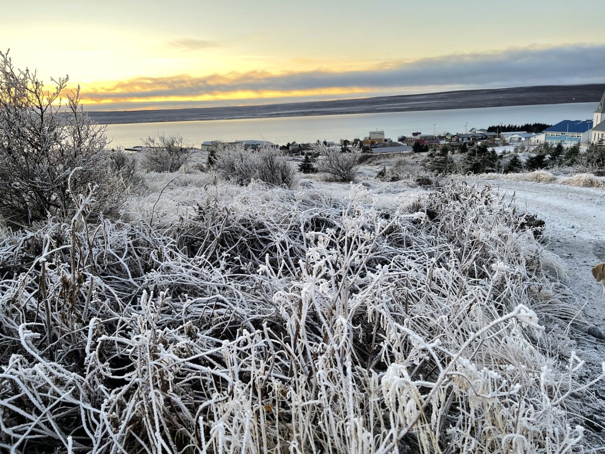Úthlutun úr Atvinnu- og nýsköpunarsjóði Húnaþings vestra