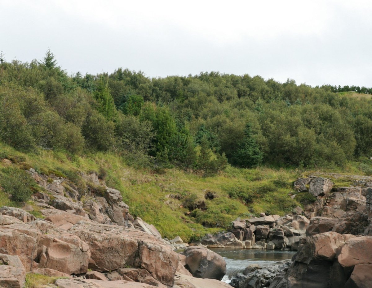 Umhverfisviðurkenningar 2023