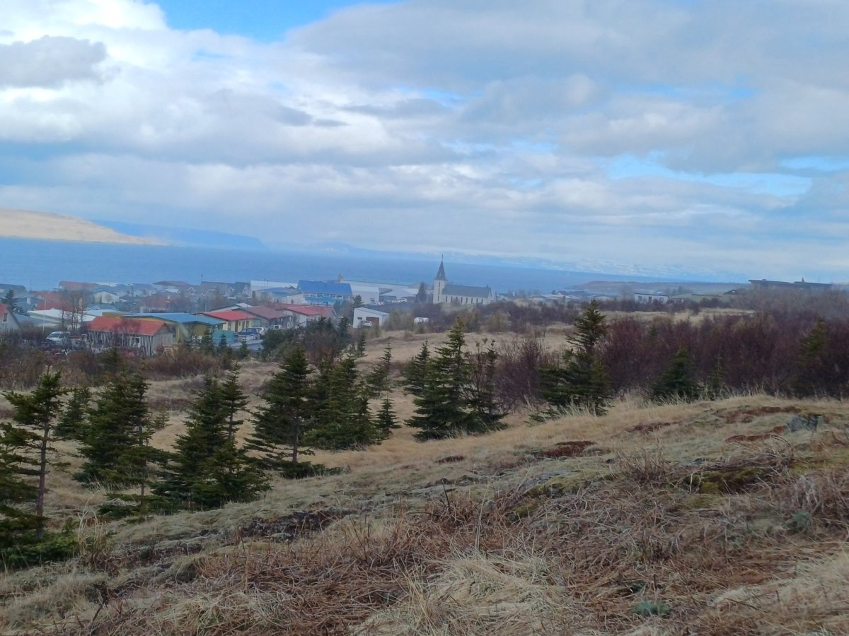 Forvarnir: Tímabil gróðurelda og sinu