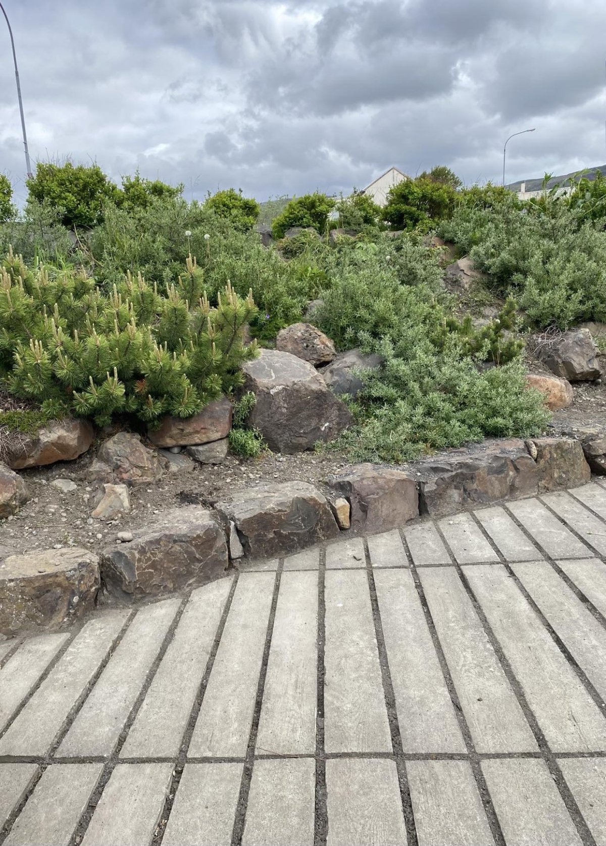 Óskað eftir: Flokksstjórum vinnuskólans fyrir sumarið 2024