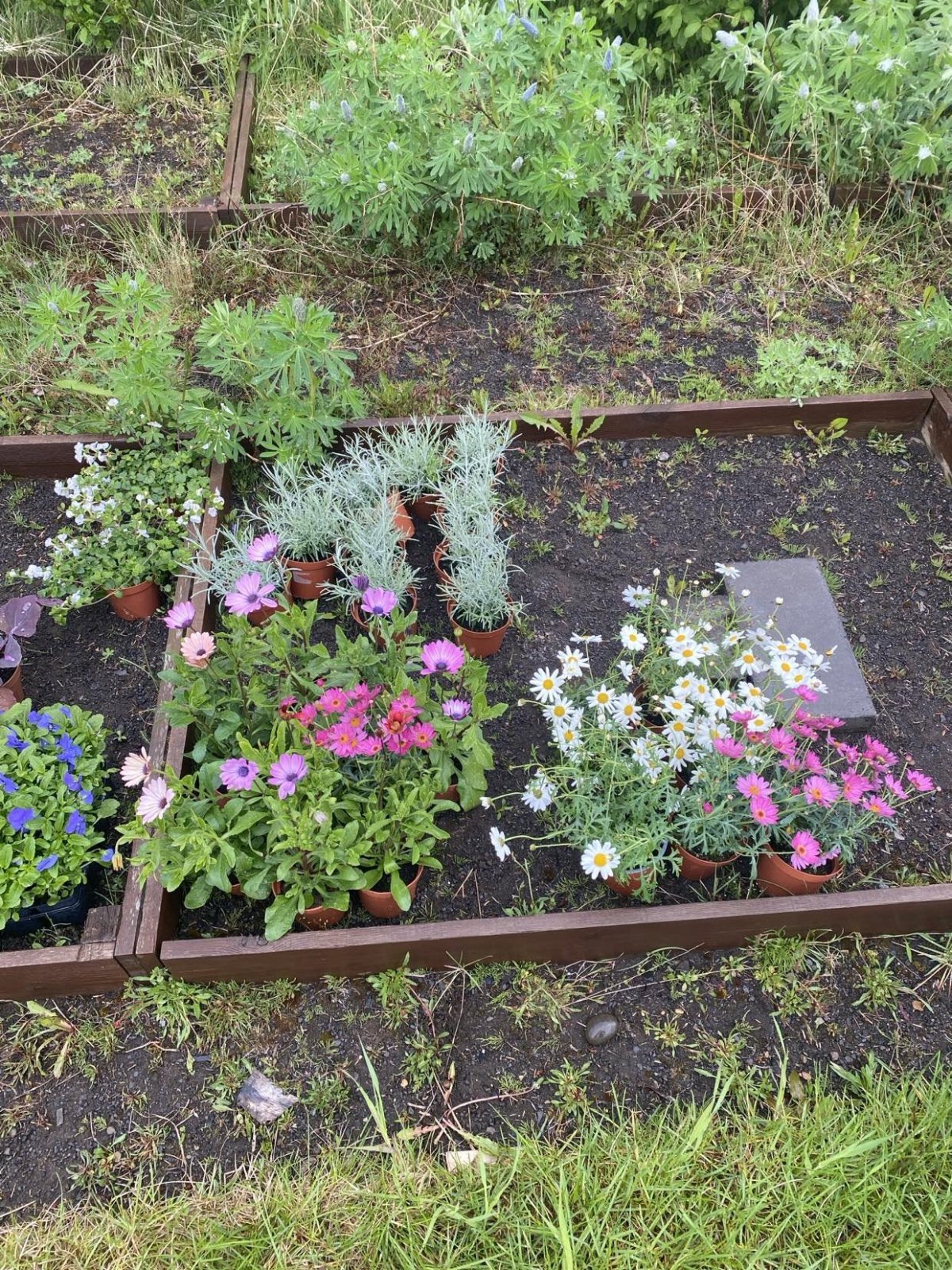 Óskað eftir: Stuðningi í vinnuskóla sumarið 2024