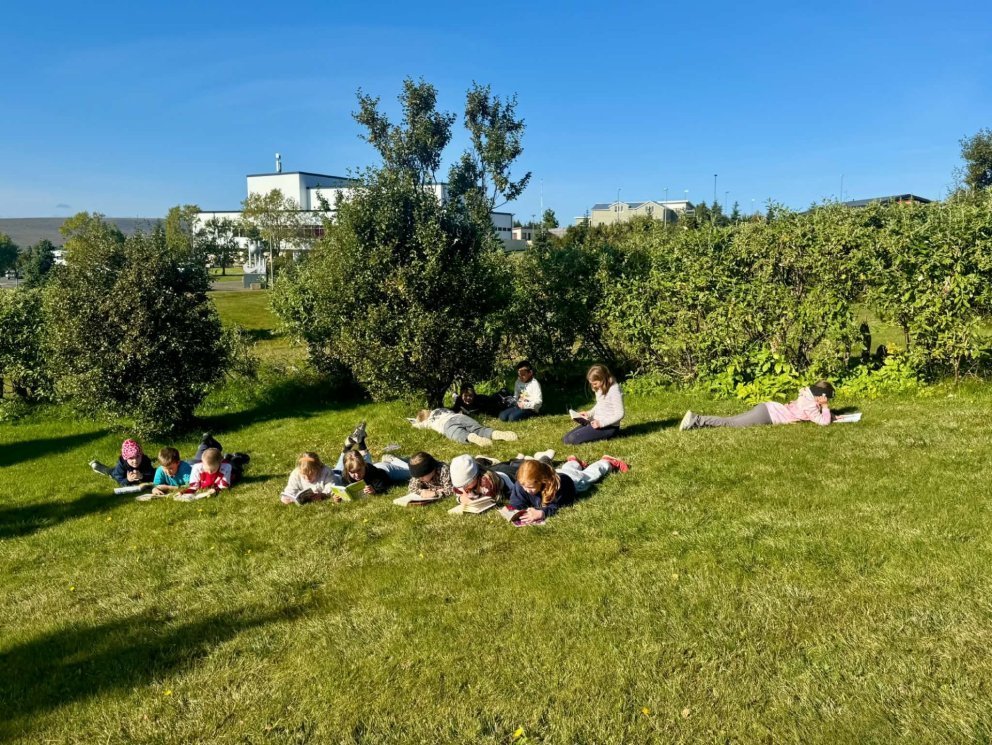 Stuðningsfulltrúi óskast við grunnskóla Húnaþings vestra