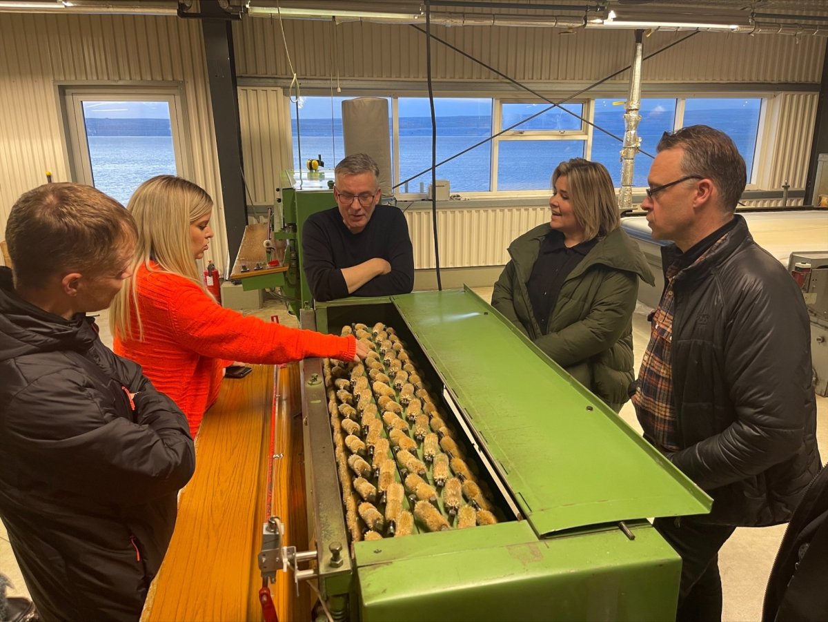 Áslaug Arna, ráðherra háskóla, iðnaðar og nýsköpunar, ásamt fylgdarliði kynnir sér starfsemi Kidka.