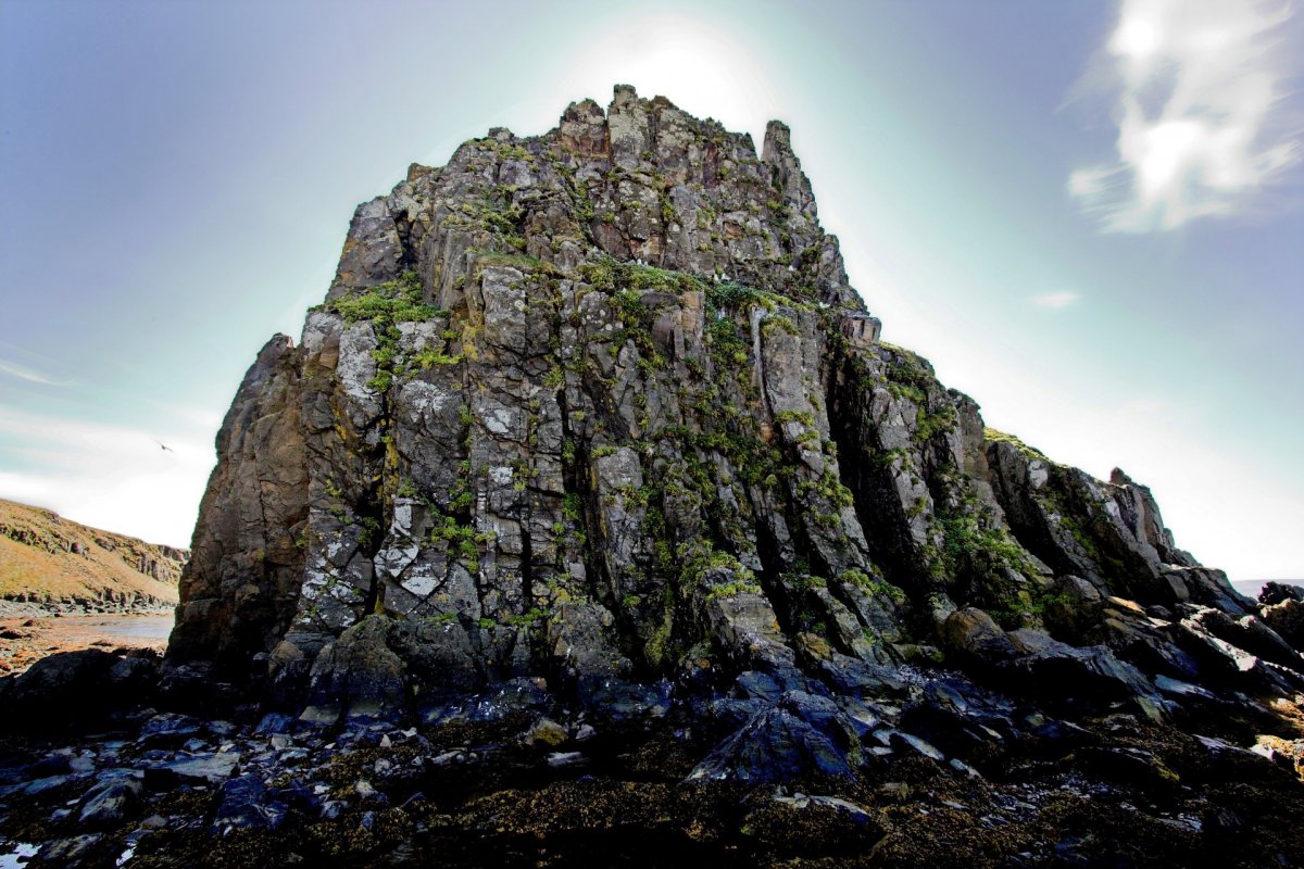 Helstu atriði dagsins