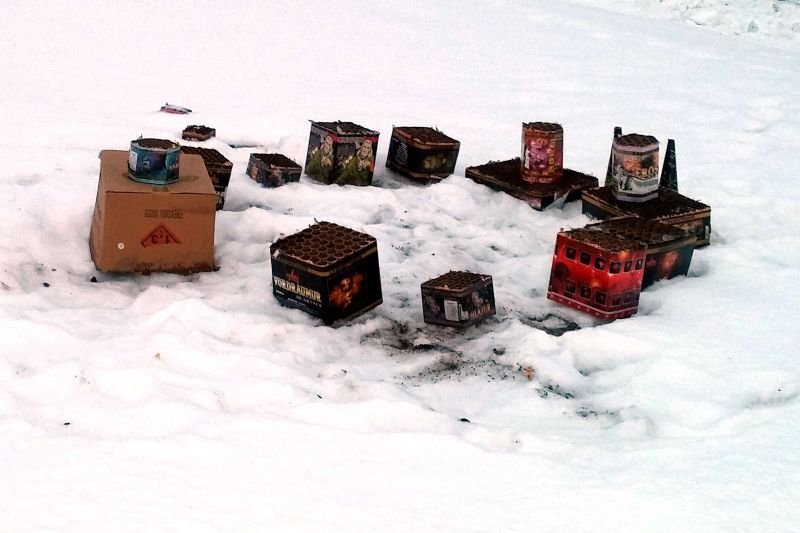 * Umhverfismoli * Áramót *