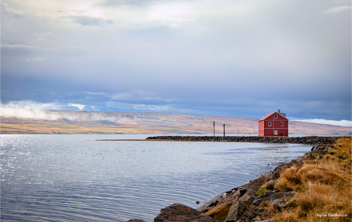 Samfélagsviðurkenningar 2025