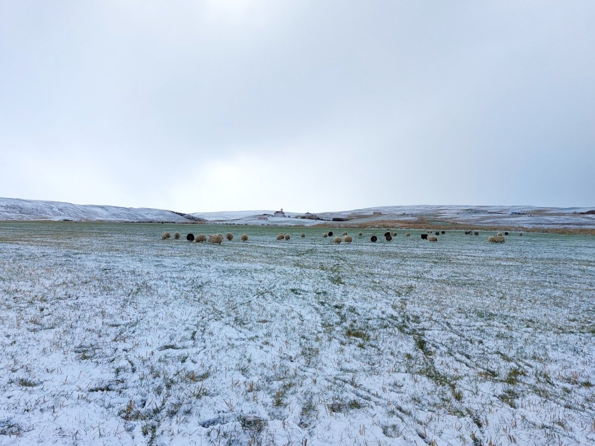 Mynd: Sigríður Ólafsdóttir.