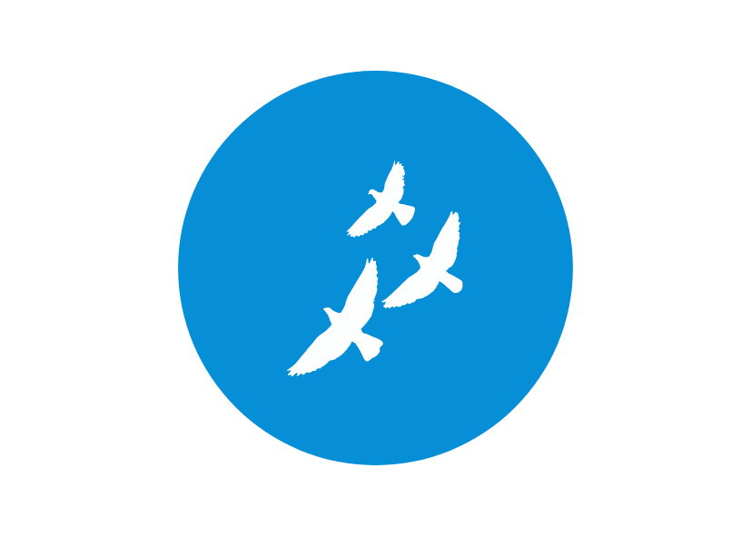 Orðsending til kattareiganda