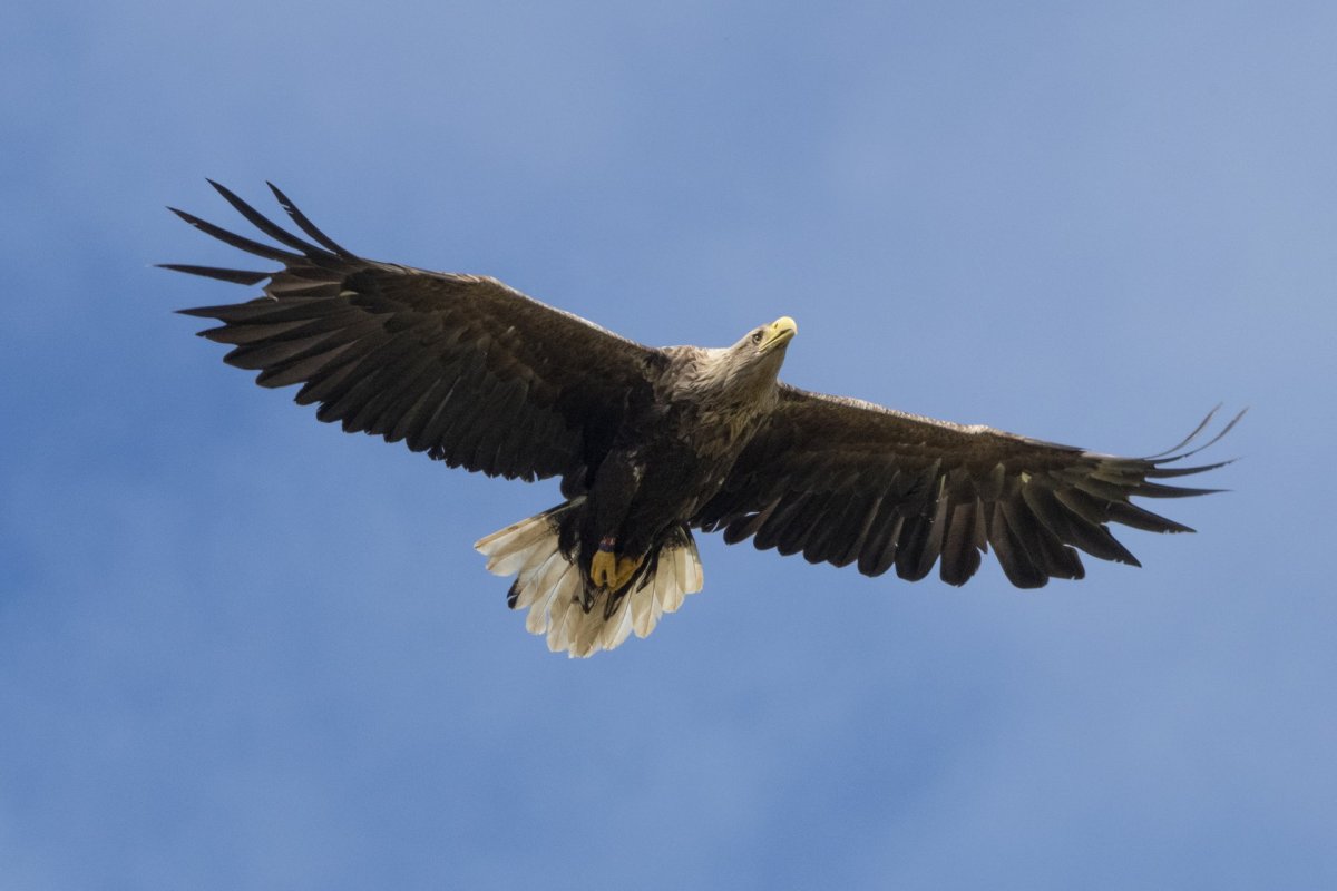 Mynd: Róbert Daníel Jónsson.