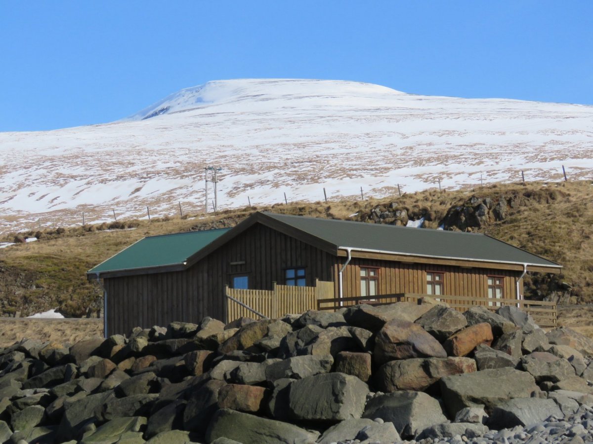 Helstu atriði dagsins