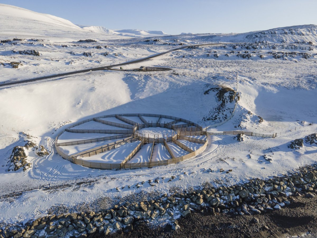 Hamarsrétt. Mynd: Róbert Daníel Jónsson.