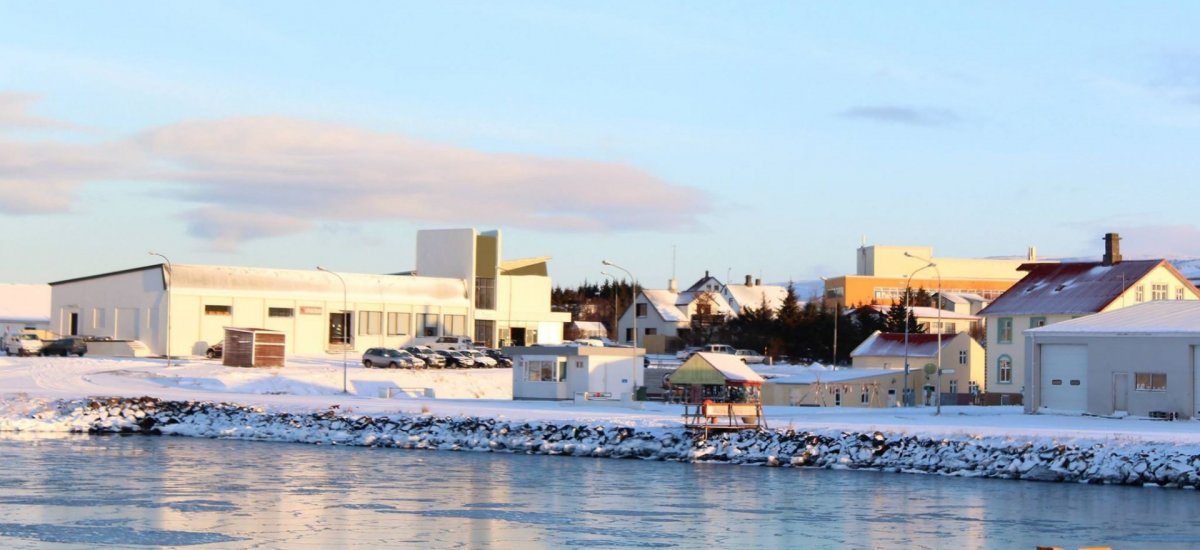 Frá Kaupfélagi Vestur-Húnvetninga