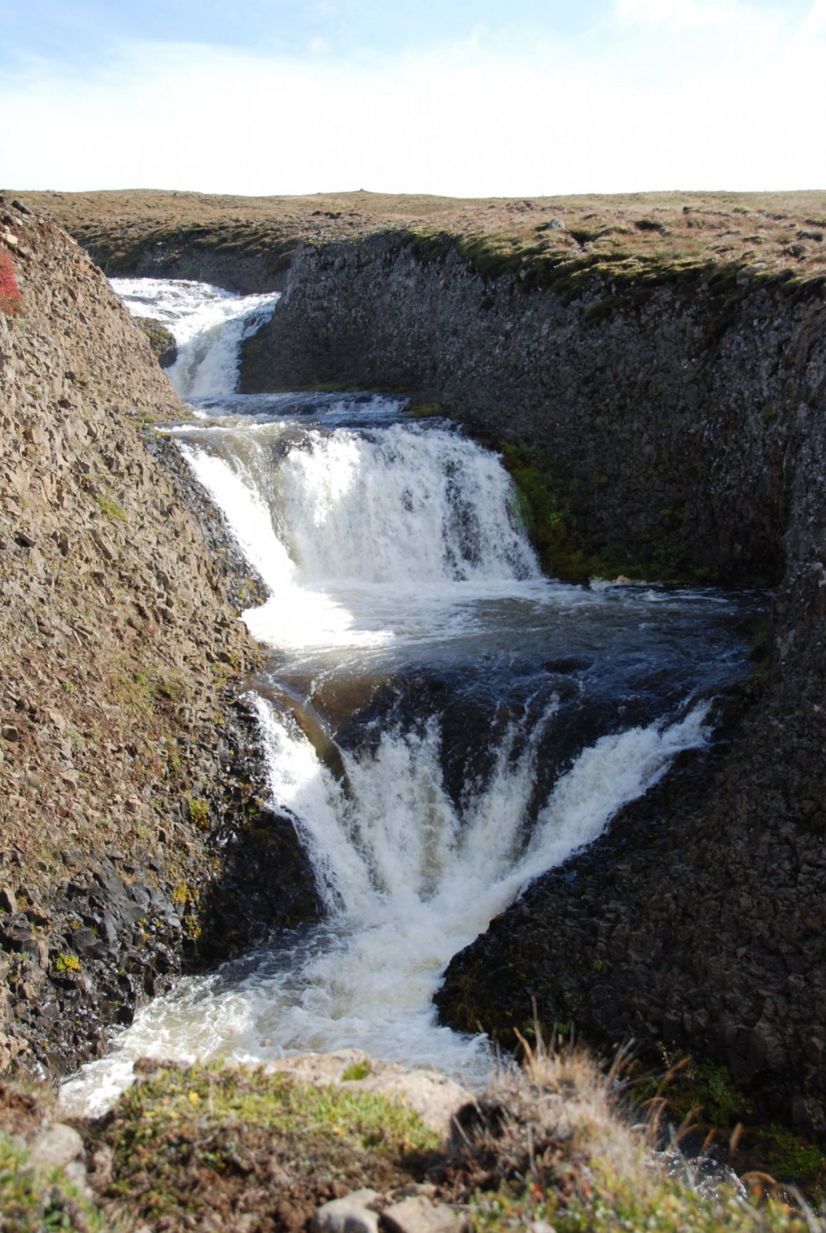 Vegir á Víðidalstungheiði