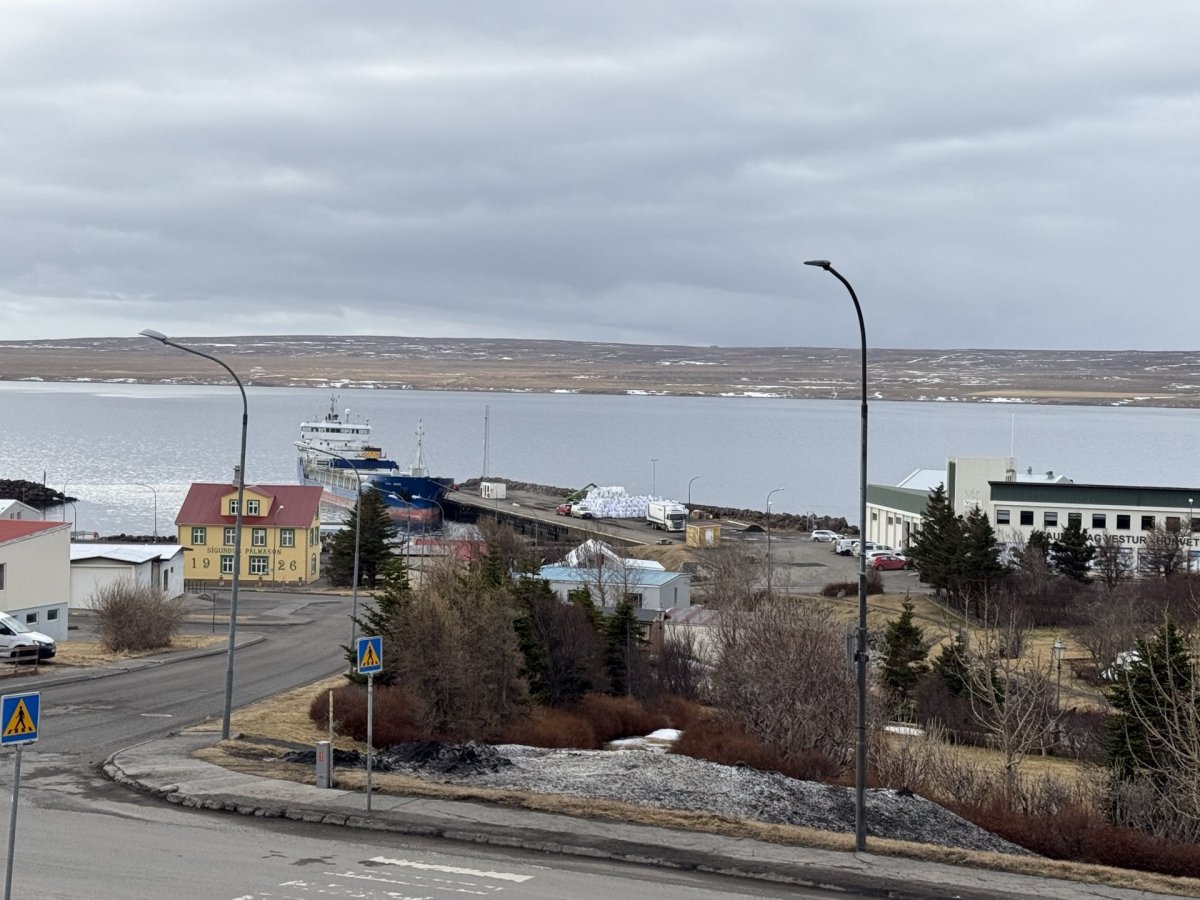 Dagbók sveitarstjóra