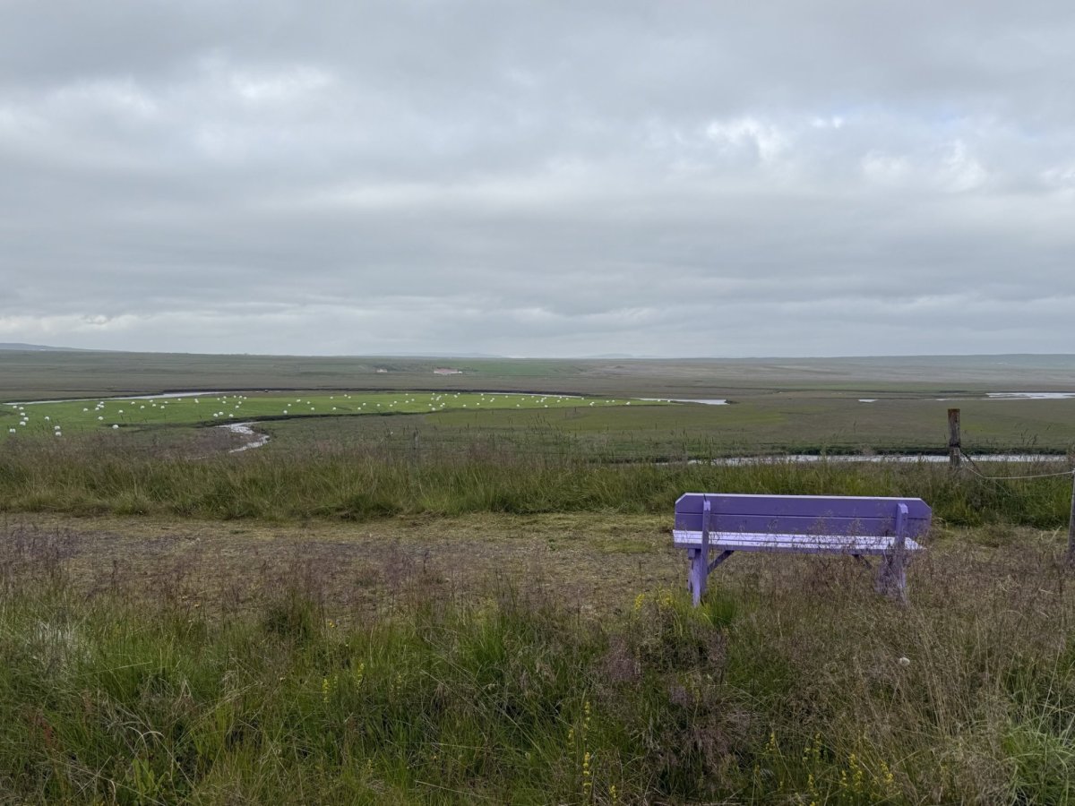 Bekkurinn á gönguleið við Laugarbakka.