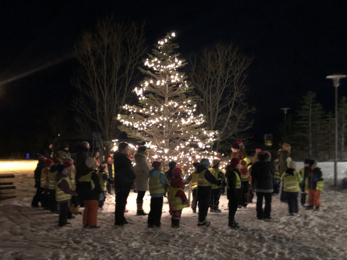 Ljósin tendruð á jólatréinu