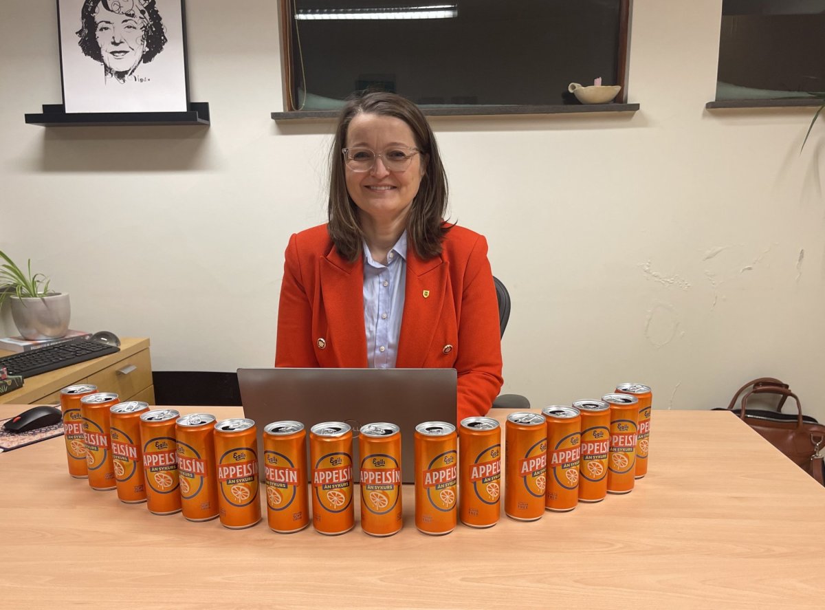 Dagbók sveitarstjóra