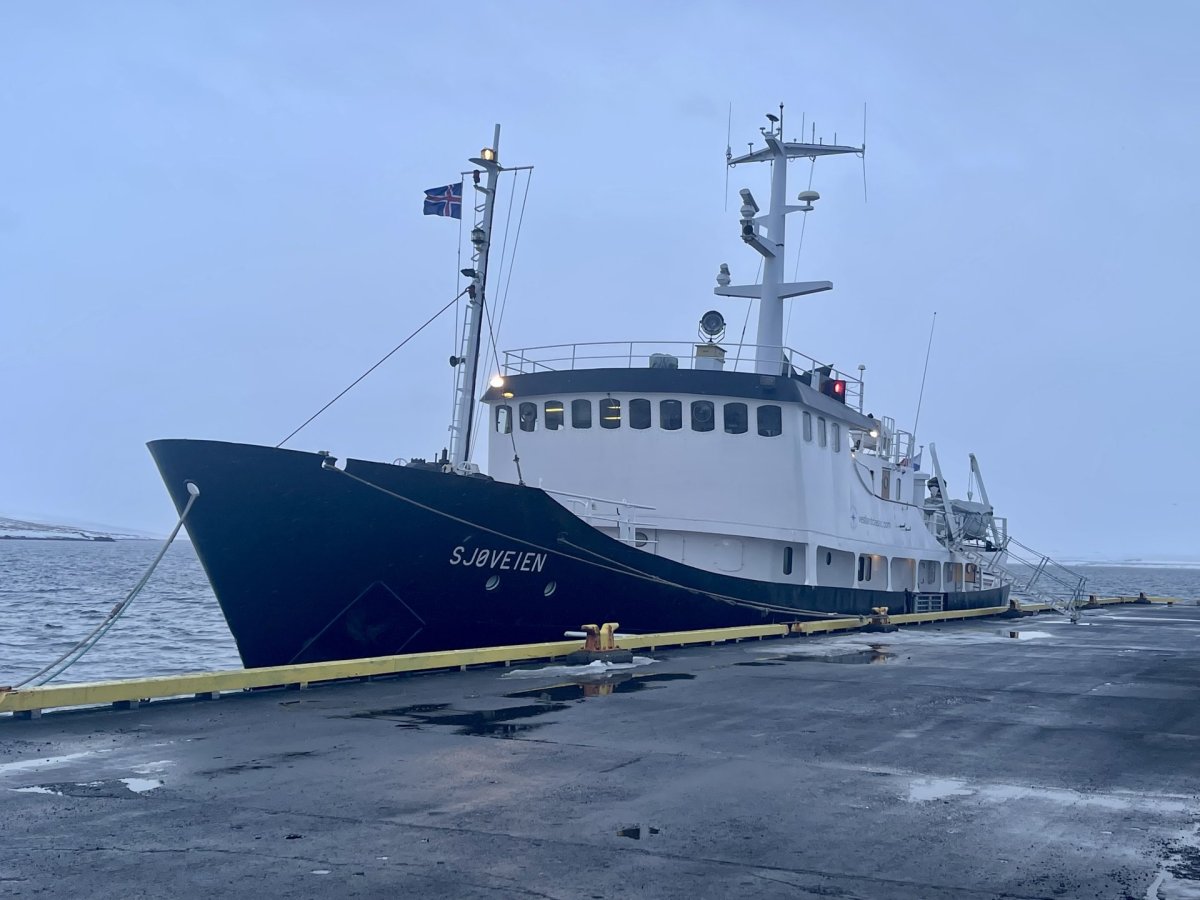 Skipakomur í Hvammstangahöfn