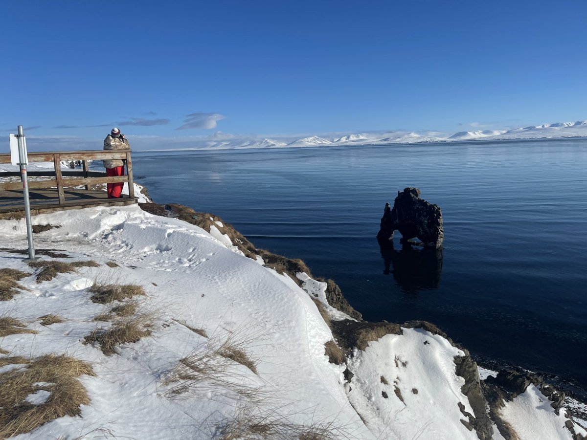 Úr vettvangsheimsók að Hvítserk í liðinni viku.