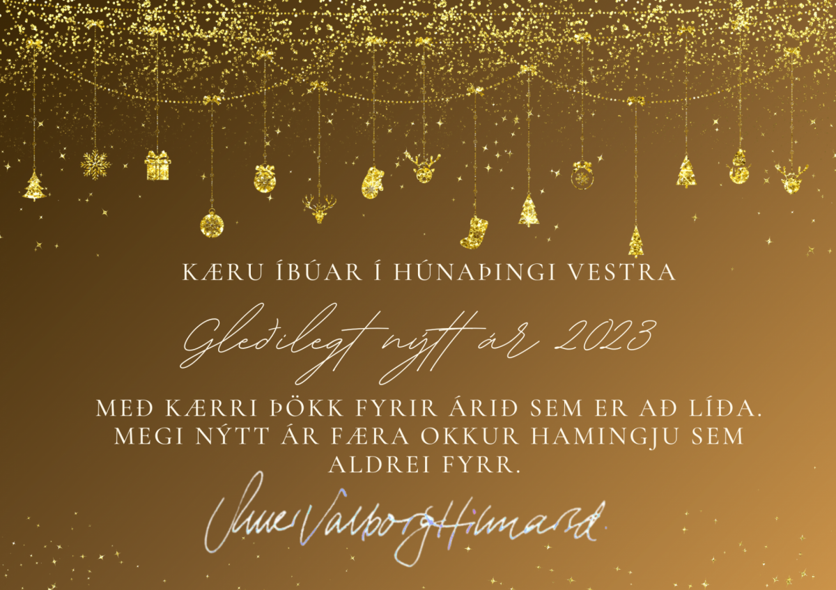 Dagbók sveitarstjóra