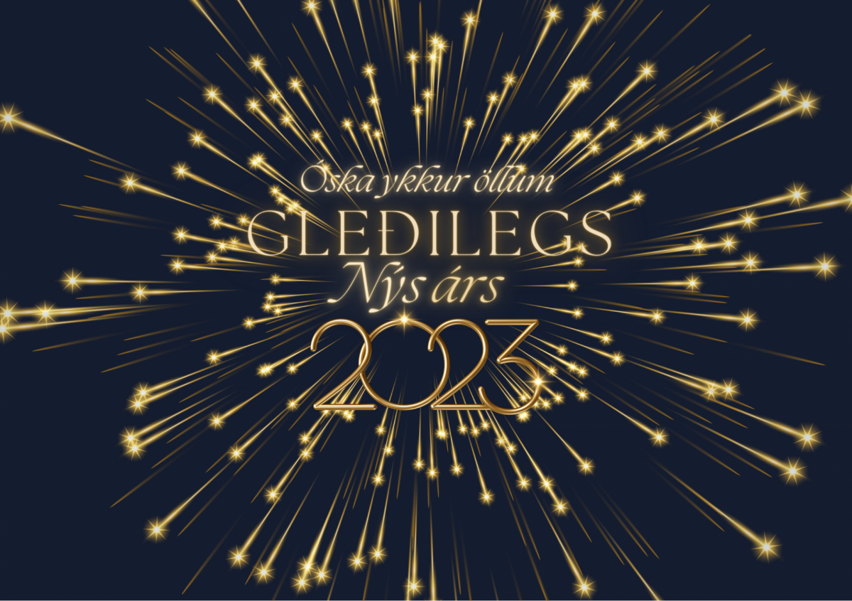 Dagbók sveitarstjóra