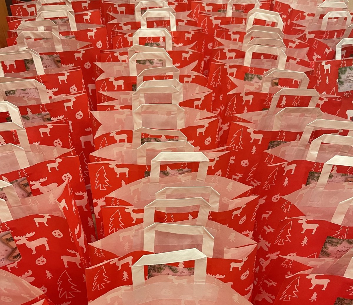 Dagbók sveitarstjóra