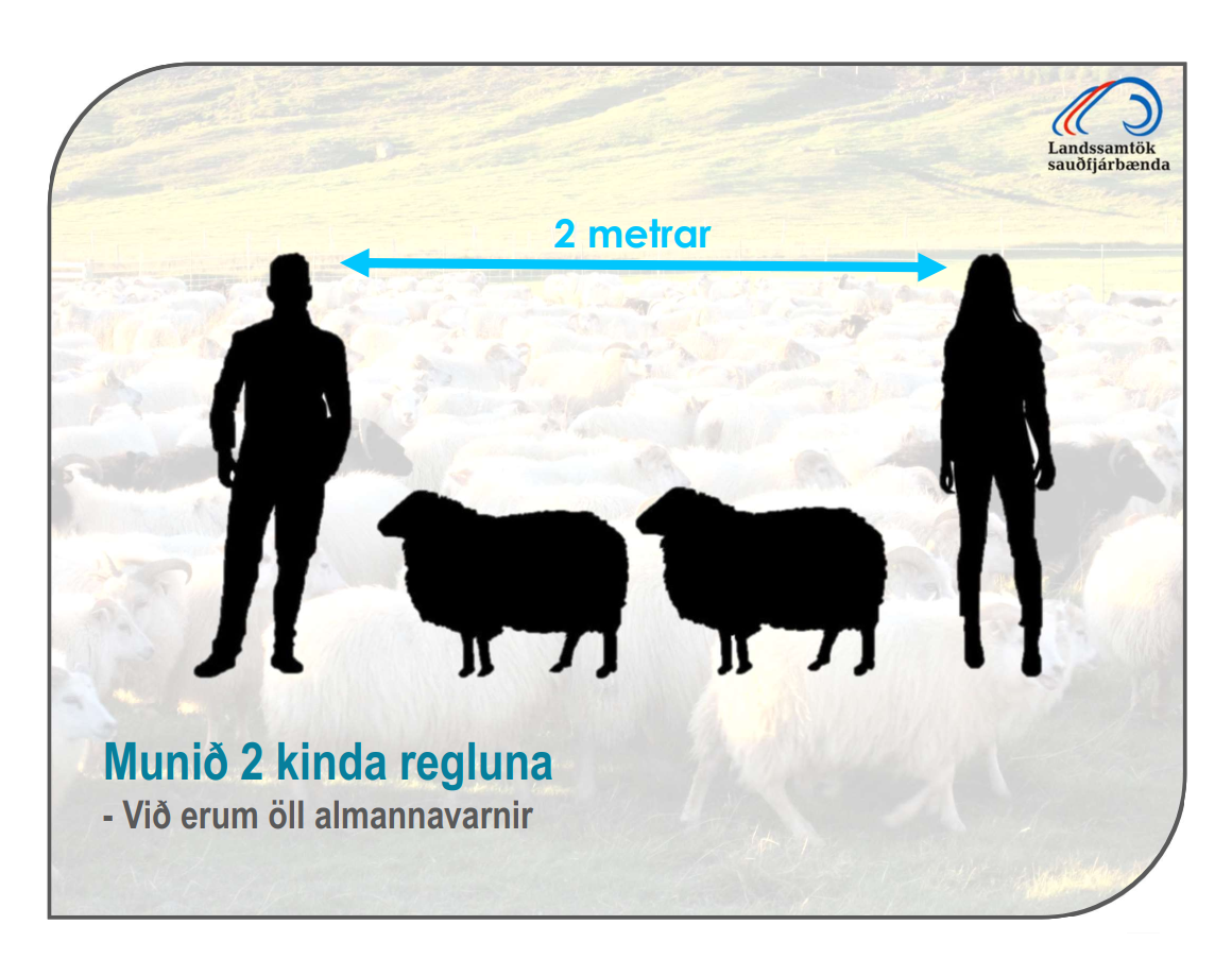 Göngur og réttir í Húnaþingi vestra 2020