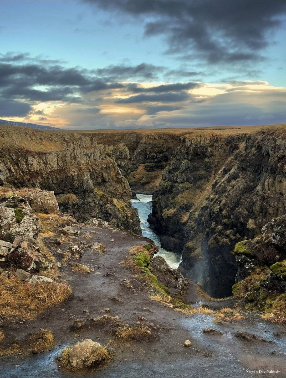 Laus störf í félagsmiðstöðinni Órion veturinn 2026–2027