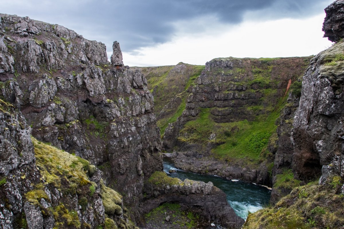 Minkaveiði í Víðidal