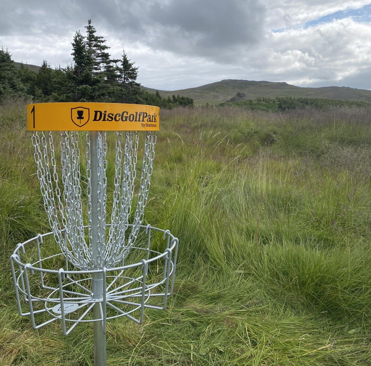 Fyrsta karfan komin upp í Kirkjuhvammi.