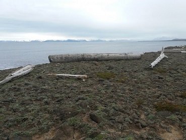 Evrópskir Menningarminjadagar