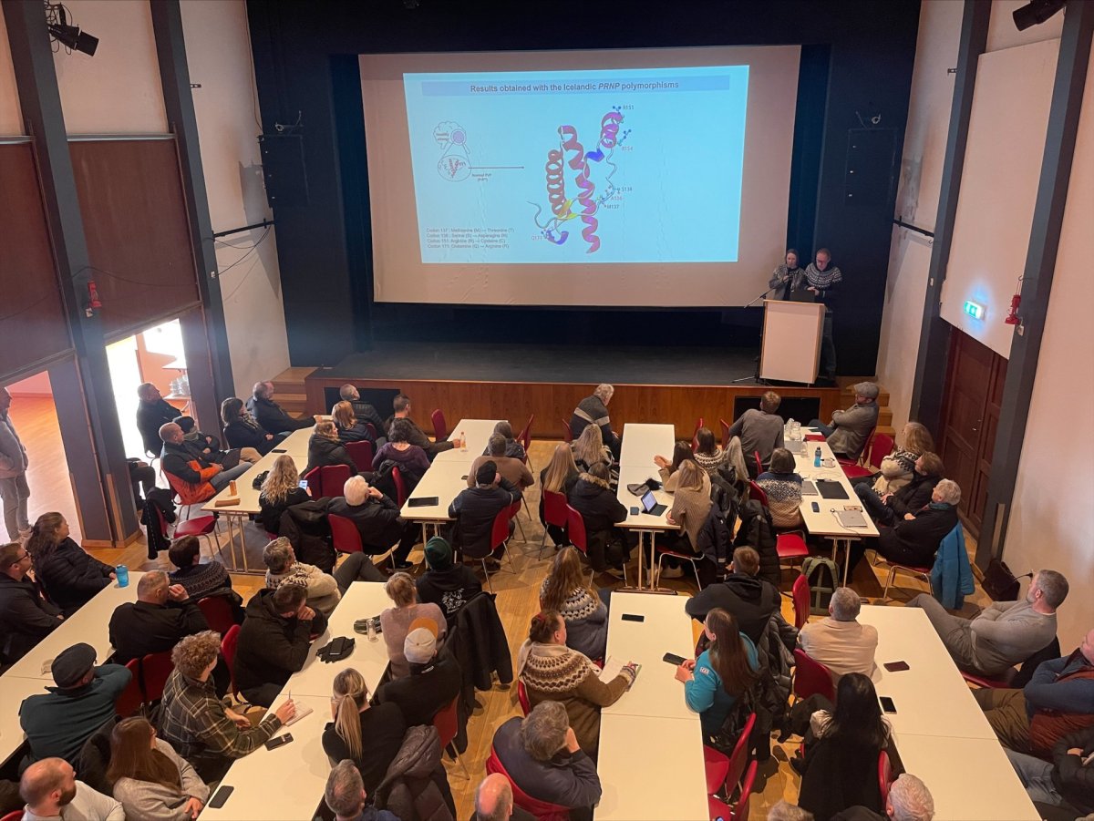 Fjölsóttur fundur í Félagsheimilinu Hvammstanga um riðumál