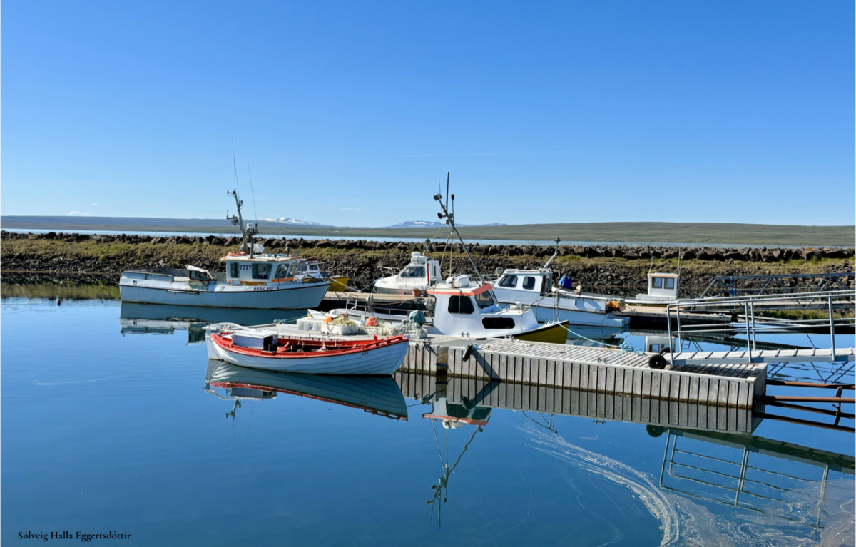 Hátíðardagskrá 17. júní á Hvammstanga
