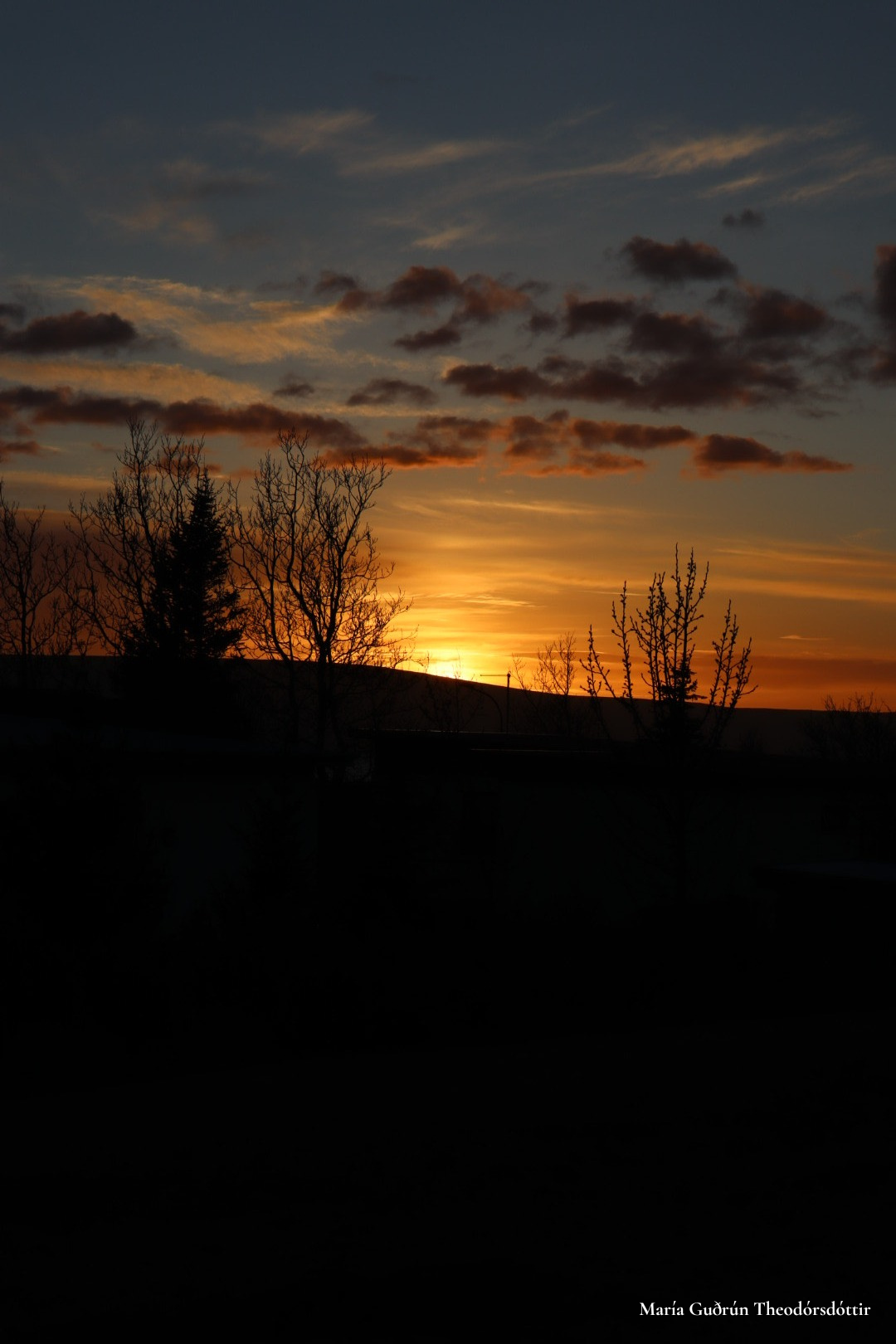 Laus íbúð í Nestúni