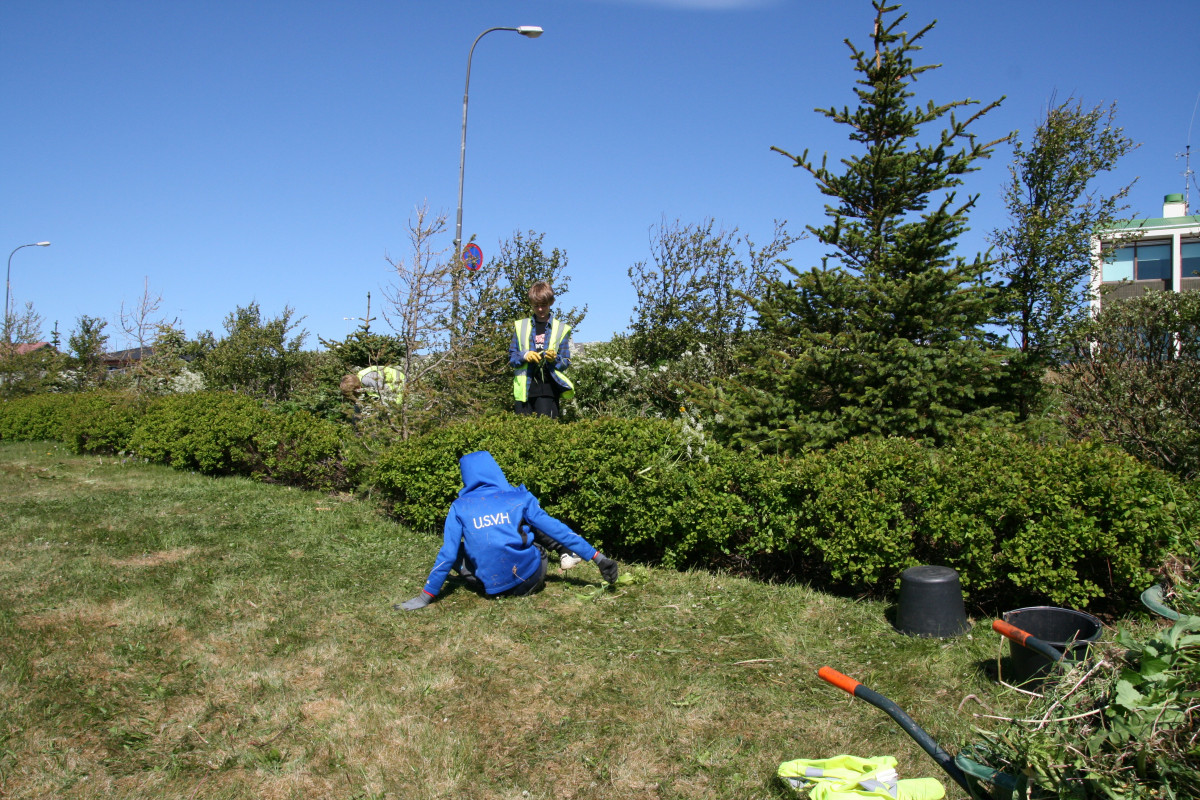 Flokkstjórar við vinnuskólann - sumarvinna