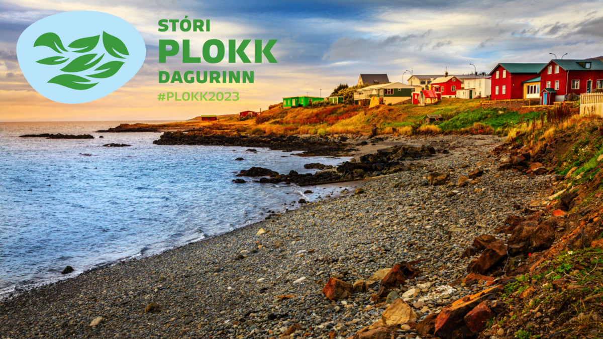 Stóri plokk dagurinn í Húnaþingi vestra