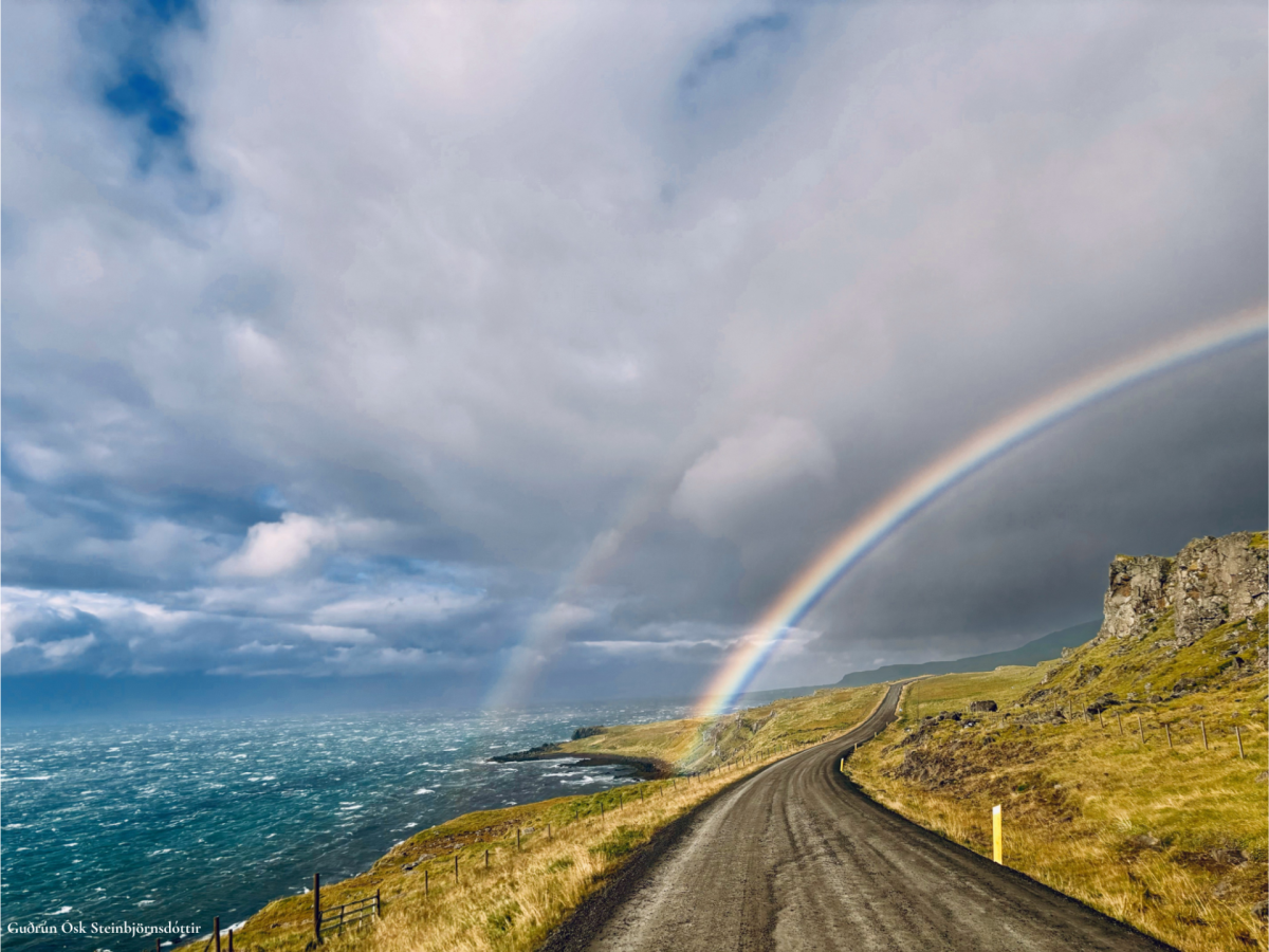 Myndasamkeppni - úrslit