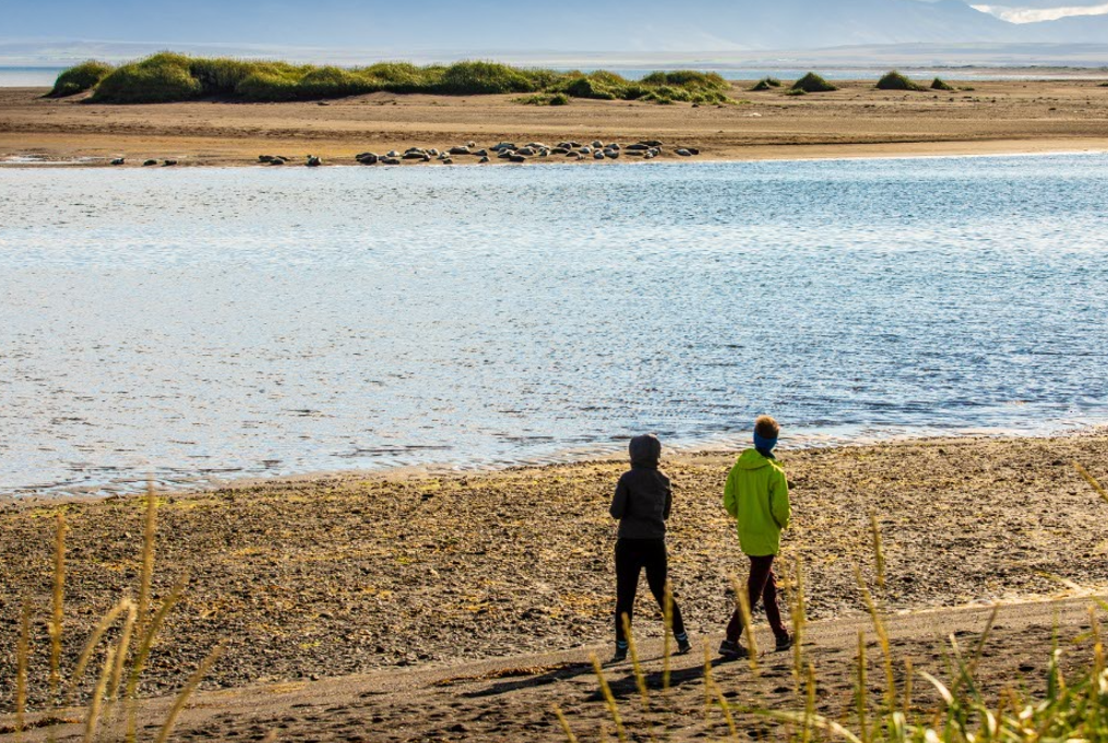 Við Sigríðarstaðaós. Mynd: Markaðsstofa Norðurlands.
